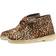 Clarks Desert Boot - Leopard Print Pony