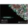 Winsor & Newton Bleedproof Paper Pad A4 75g 50 sheets