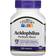 21st Century Acidophilus Probiotic Blend 100 pcs