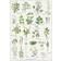 Koustrup & Co. Edible Wild Plants Plakat 21x29.7cm