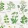 Koustrup & Co. Edible Wild Plants Plakat 21x29.7cm