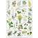 Koustrup & Co. Herbs For Schnapps Plakat 42x59.4cm