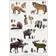 Koustrup & Co. Nordic Animal Tracks Plakat 42x59.4cm