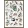 Koustrup & Co. Garden Birds Plakat 21x29.7cm