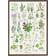 Koustrup & Co. Spiced Herbs Plakat 42x59.4cm