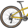 Scott Roxter 26 Disc 2022 - Yellow Barncykel