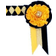 ShowQuest Newport Browband