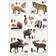 Koustrup & Co. Nordic Animals Tracks Plakat 21x29.7cm