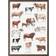 Koustrup & Co. Cattle Breeds Plakat 42x59.4cm