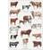 Koustrup & Co. Cattle Breeds Plakat 42x59.4cm