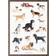 Koustrup & Co. Dog Breeds Plakat 42x59.4cm