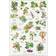 Koustrup & Co. Edible Wild Fruits Plakat 42x59.4cm