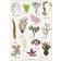 Koustrup & Co. Edible Seaweed Plakat 42x59.4cm