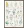 Koustrup & Co. Beach Plants Plakat 42x59.4cm