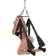 Whipsmart Yoga Pleasure Swing