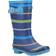 Cotswold Unisex Stripe Wellington Boot - Blue/Green/Yellow