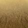 Cricut Vinyl Permanent Textured Metallic Gold 30.5x122cm