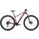 Cube Access WS Pro 2022 Damenfahrrad