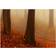 Arkiio Morning Fog Billede 200x80cm