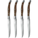 Xantia Aprilia Curve Grillkniv 25.3cm 4st