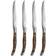 Xantia Aprilia Curve Grillkniv 25.3cm 4st