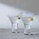LSA International Vodka Cocktailglas 24cl 2st