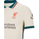 Nike Liverpool FC Match Away Jersey 2021-22