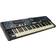 Hammond SK Pro 61 Stage Keyboard