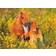 Ravensburger Shetland Pony XXL 100 Pieces