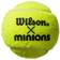 Wilson Minions Championship 3 Ball Tube - 3 bollar