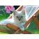 Ravensburger White Kitten XXL 200 Pieces