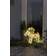 Konstsmide Goat Julelampe 48cm