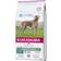 Eukanuba Daily Care Sensitive Joints 12kg