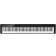 Casio PX-S3100 BK Privia Piano da Palco Black