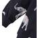Name It Donald Sweatshirt - Dark Sapphire