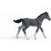 Schleich Trakehner Foal 13944