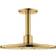 Grohe Rainshower SmartActive 310 (26477GL0) Brass