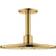 Grohe Rainshower SmartActive 310 (26477GL0) Laiton