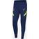 Nike Tottenham Hotspur Strike Knit Pants