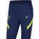 Nike Tottenham Hotspur Strike Knit Pants