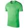 Nike Dry Academy SS Top Men - Green Spark/Pine Green/White