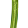 Climbing Technology Anodized Snapkrog Lime SG
