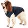 Joules Cherington Quilted Pet Coat S