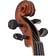 stentor Graduate 4/4 Violon