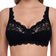 Susa Latina Non-Wired Bra - Black