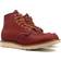 Red Wing 6 Inch Moc Toe Gore Tex - Russet Taos