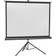Celexon Ecran de projection sur pied Economy 244 x 183 cm