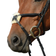 Collegiate Syntovia+ Padded Raised Figure 8 Bridle