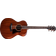 Taylor AD22e