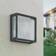 Lucande Aurelien Wall light